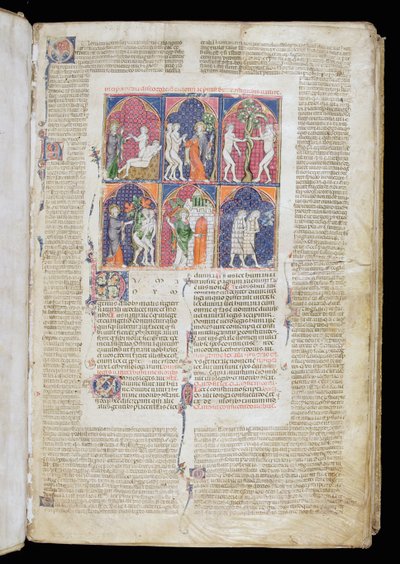 Ms. 262, f.1r: Sei scene della Creazione e Caduta dal Decretum di Graziano, c.1300 da French School